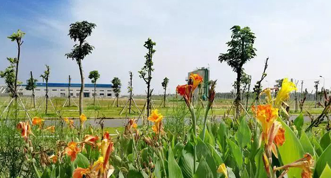 ��������(�й�)���޹�˾����