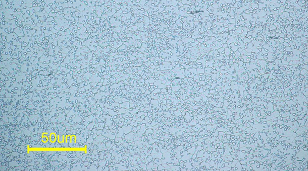 sk85������֯