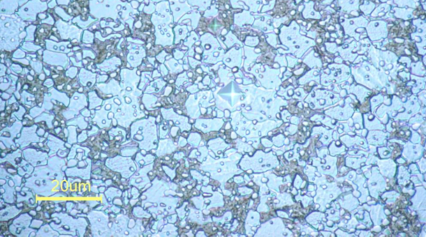 �ȴ��óͷ�sk85�Ľ�����֯