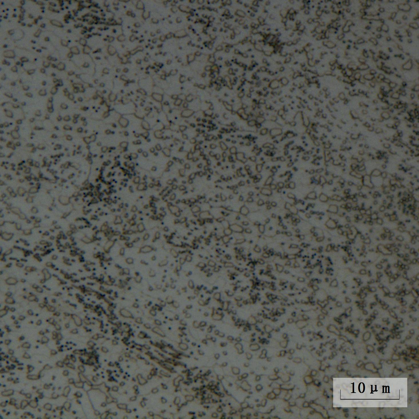 65Mn�����ִ�����