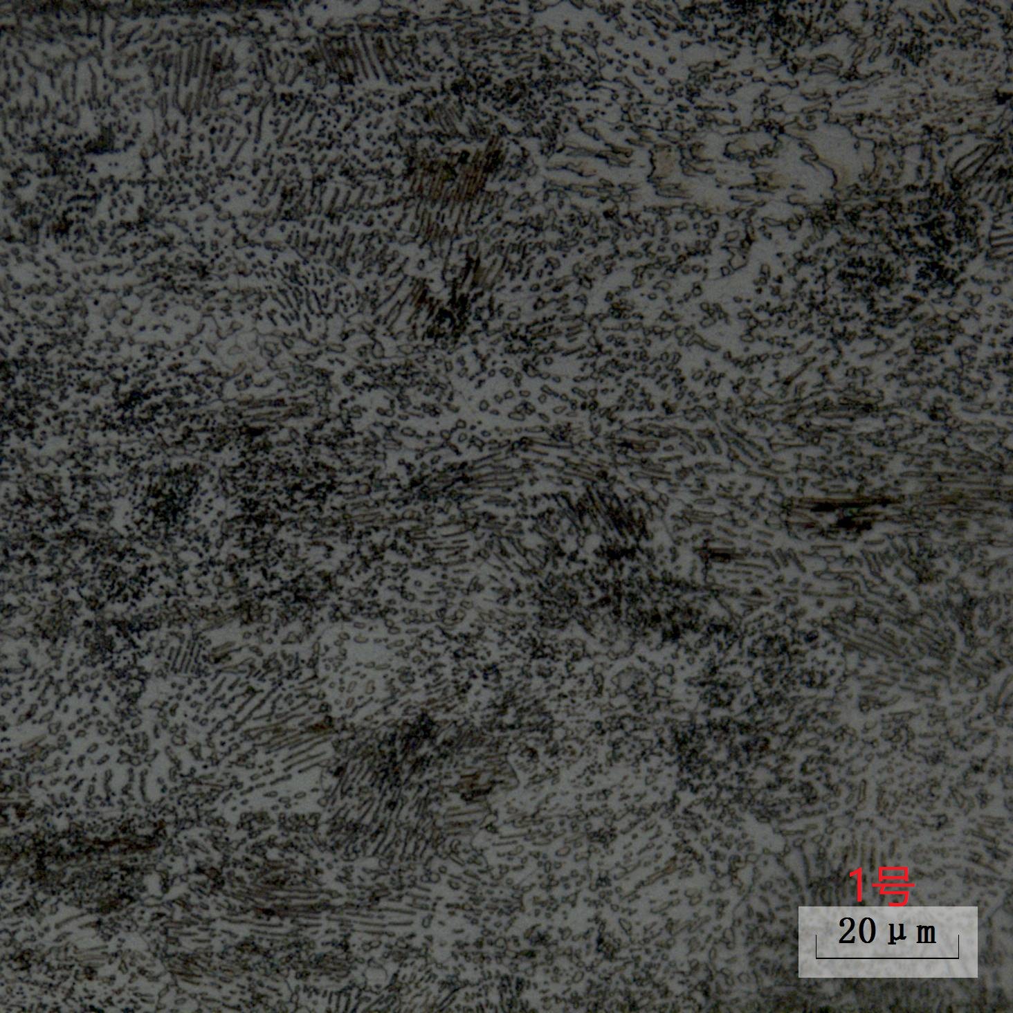 ¼«ÔÃÓéÀÖ(Öйú)ÓÐÏÞ¹«Ë¾¹ÙÍø