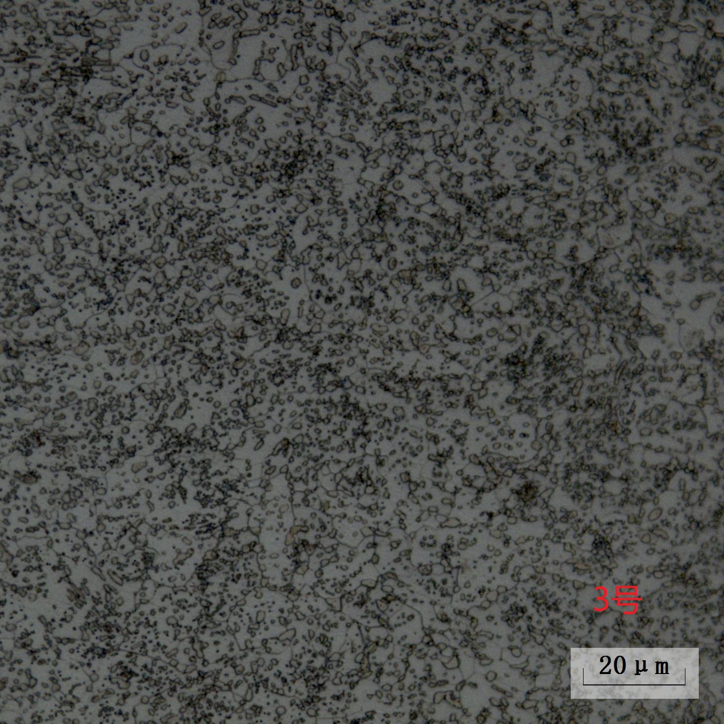 ��������(�й�)���޹�˾����