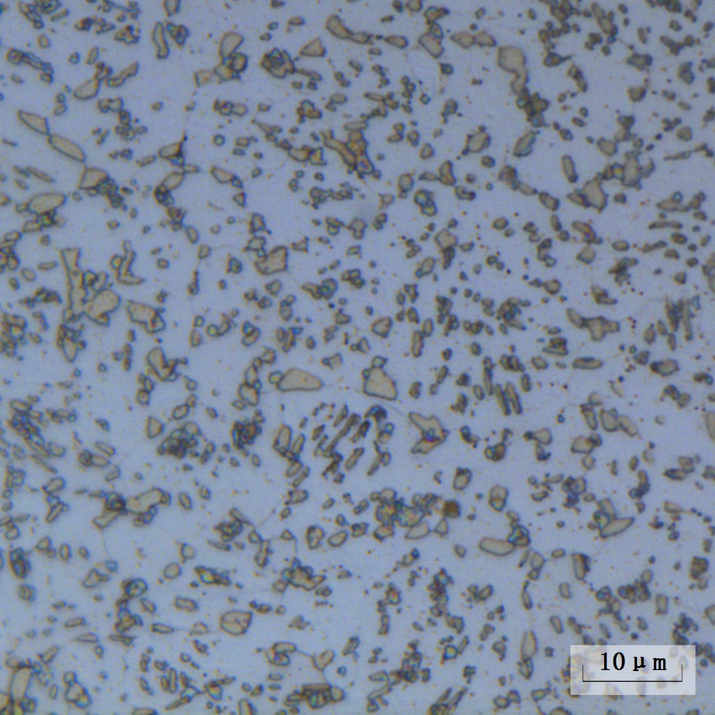 60Si2MnA�����˻����ͼ